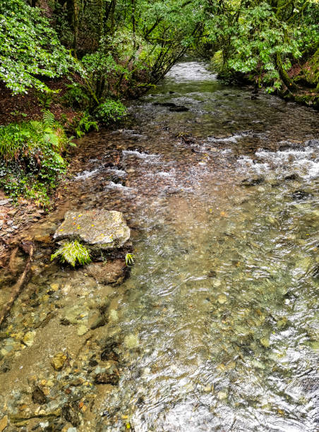 istock River Lyd - Lydford Gorge, Dartmoor National Park, Devon, United Kingdom 1404346515