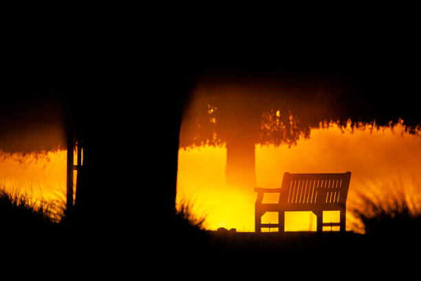 Park bench looking over a mist-laden lake in London