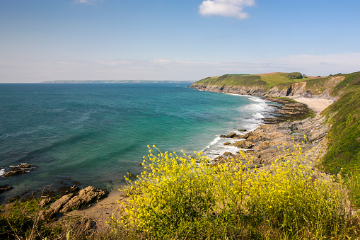 Earyl Summer morning on the Roseland Peninsula, Cornwall, UK, looking towards St. Anthony's Head and Falmouth Bay