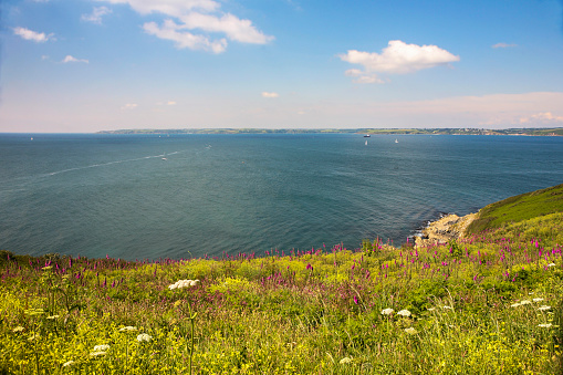 View across Falmouth Bay towards the Lizard from the Roseland Peninsula, Cornwall, UK on a sunny Summer's morning
