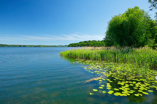 Natural lake in Schleswig-Holstein (Holsteinische Schweiz)