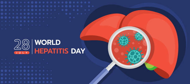 ilustraciones, imágenes clip art, dibujos animados e iconos de stock de día mundial de la hepatitis - lupa zoom virus en hígado sobre diseño vectorial de fondo púrpura - hepatitis virus