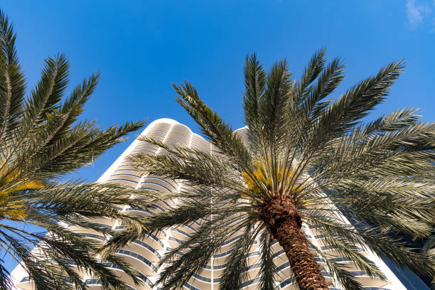istock palm trees at building in sunny summer, vacation 1404350756