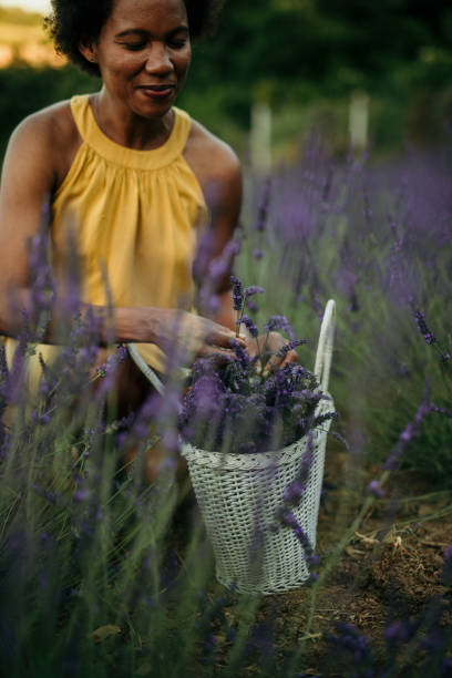 istock Gardening is my relaxation 1404352712