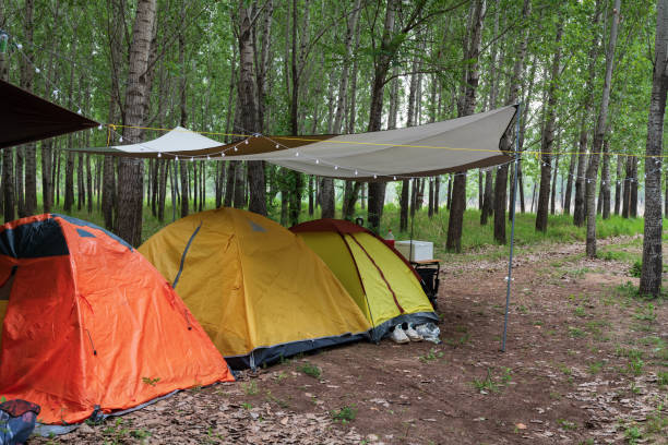 Tent camps in the forest