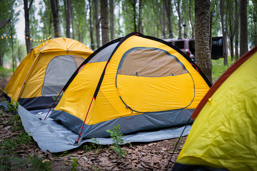 Camping tents in the outdoor forest