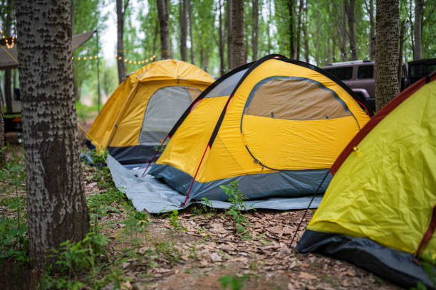 istock Camping tents in the outdoor forest 1404360096
