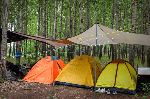 Tent camps in the forest