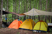 istock Tent camps in the forest 1404360153