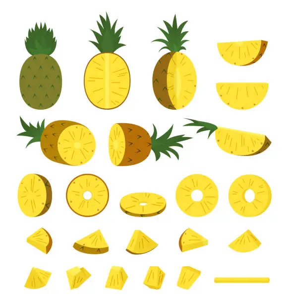 Vector illustration of Pineapple collection, Whole and sliced pineapple on white background