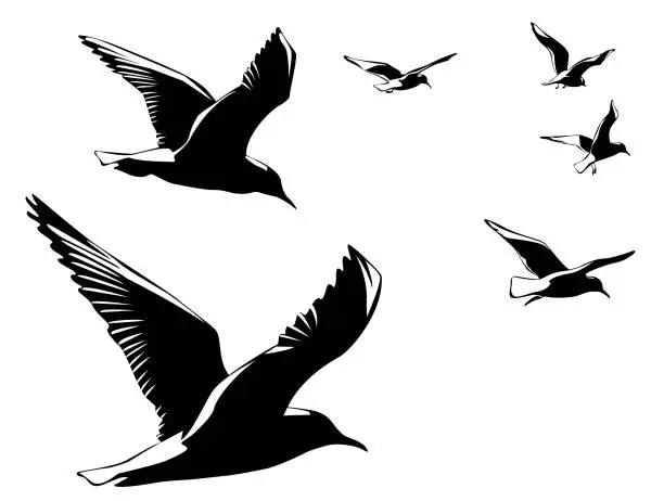 Vector illustration of flying birds silhouettes