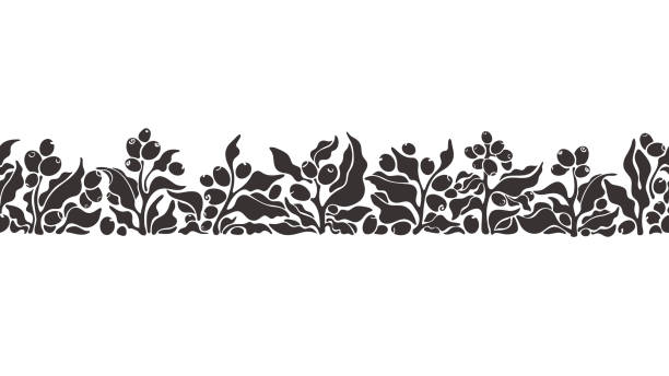 Coffee plant seamless border. Vector branch, grain Coffee plant seamless border. Vector branch, leaves, grain. Graphic black ornament on white background. Nature print, abstract decor vector food branch twig stock illustrations