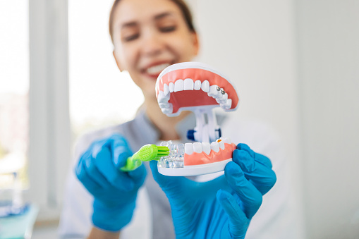 Female dentist with model of teeth