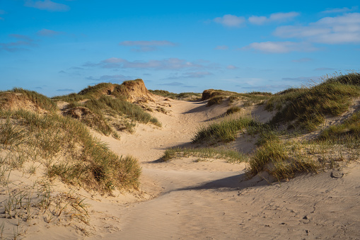 Danish Dunes and horizon over water