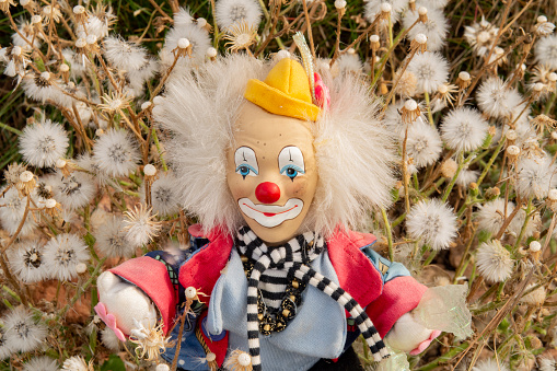 Clown sitting amongst seedheads with a similar hairstyle.