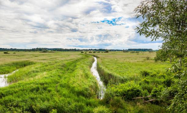 riserva naturale minsmere rspb - sizewell b nuclear power station foto e immagini stock