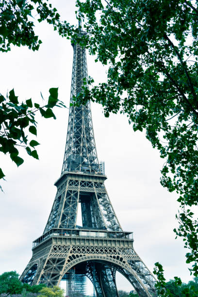 istock Eiffel Tower in the background with trees in the foreground in portrait format 1404378325