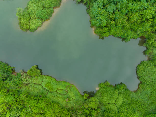 istock Beautiful landscape in forest at the lakeside 1404378420