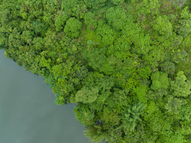 istock Beautiful landscape in forest at the lakeside 1404378484