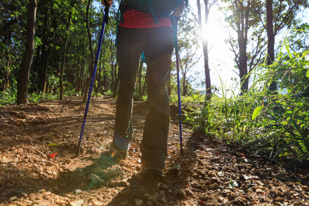 istock Woman hiking in summer forest mountain 1404380119