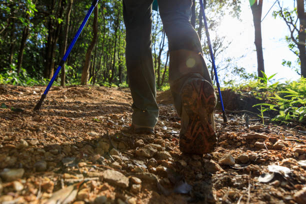 istock Woman hiking in summer forest mountain 1404380178