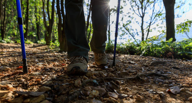 istock Woman hiking in summer forest mountain 1404380224