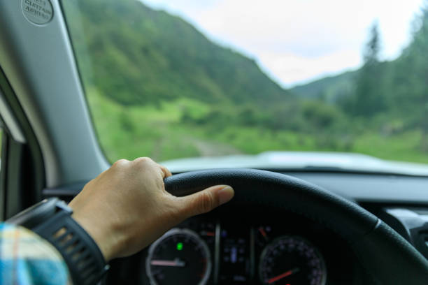 guidare fuori strada nelle montagne della foresta estiva - steering wheel foto e immagini stock