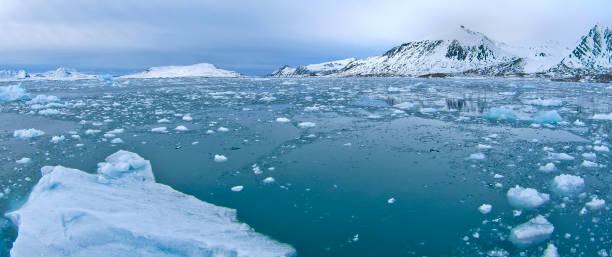 istock Drift floating Ice, Albert I Land, Norway 1404384735
