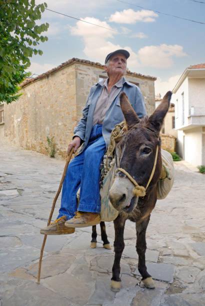Man working in brick factory (Kiln) and riding fully loaded of donkey cart.