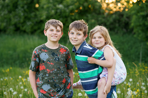 Portrait of three siblings children. Two kids brothers boys and little cute toddler sister girl having fun together on flowers meadow. Happy healthy family playing, walking, active leisure on nature.