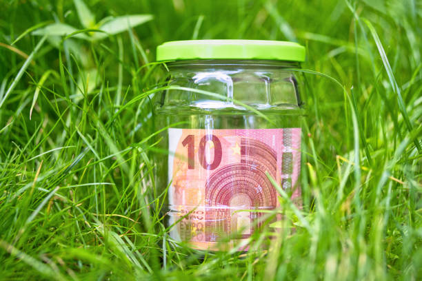 Savings in the mason jar in the grass