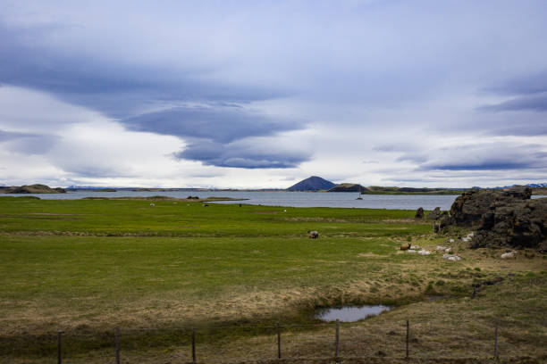 istock Icelandic landscape with a pasture and a lake 1404394430
