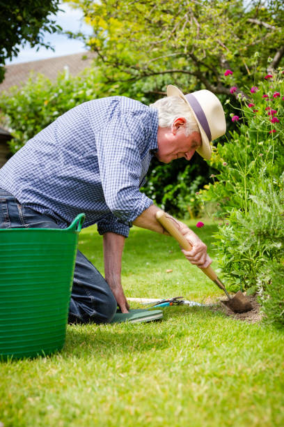 istock Senior man working in the garden 1404401253
