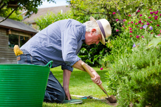 istock Senior man working in the garden 1404401328