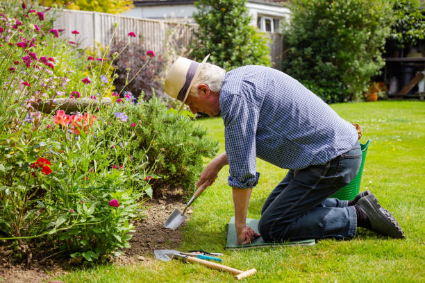 istock Senior man working in the garden 1404401330