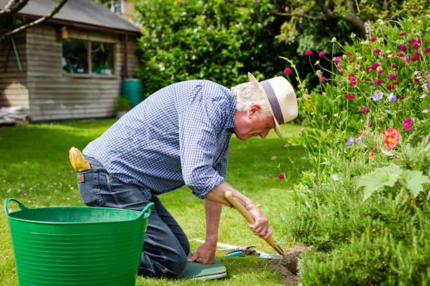Senior man working in the garden
