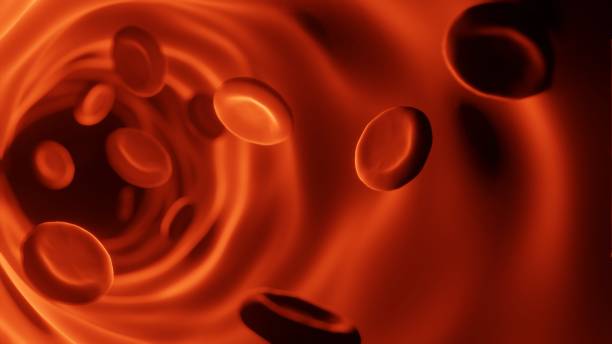 3d render red blood cells in bloodstream. medicine and biology scientific research,red blood cells in vein or artery, flow inside inside a living organism.seen micro.vector illustrate. - microscop imagens e fotografias de stock