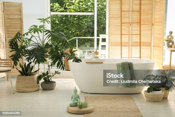 Stylish Bathroom Interior With Modern Tub And Beautiful Houseplants Stock Photo - Download Image Now