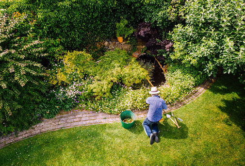 Aerial view, taken by drone, depicting a senior man, wearing straw hat and check shirt, watering a colorful flowerbed on his garden lawn. The man has various items of garden equipment - trowels, clippers, a bucket for garden waste - at his side.