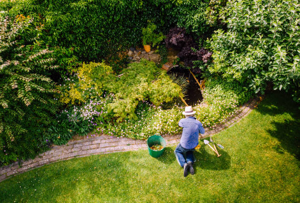 High angle view of man watering flowerbed in garden Aerial view, taken by drone, depicting a senior man, wearing straw hat and check shirt, watering a colorful flowerbed on his garden lawn. The man has various items of garden equipment - trowels, clippers, a bucket for garden waste - at his side. manicure man stock pictures, royalty-free photos & images
