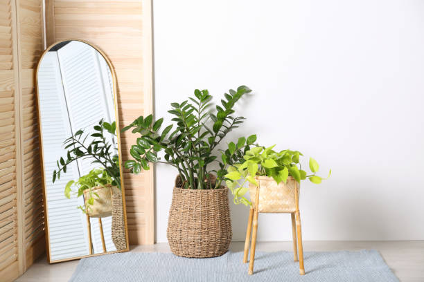 istock Stylish room interior with beautiful potted plants and mirror 1404406292