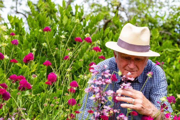 istock Senior man working in the garden 1404409071