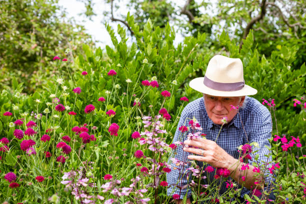 istock Senior man working in the garden 1404409100