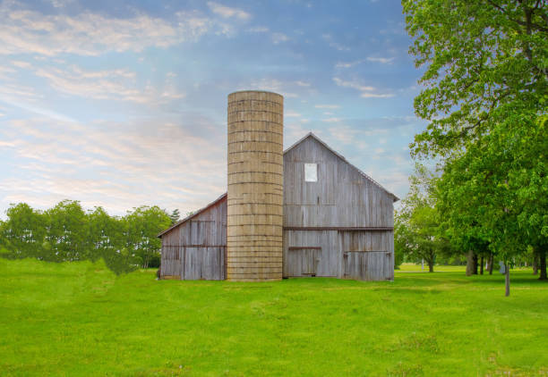 Old Weathered Barn-Tipton County, Indiana