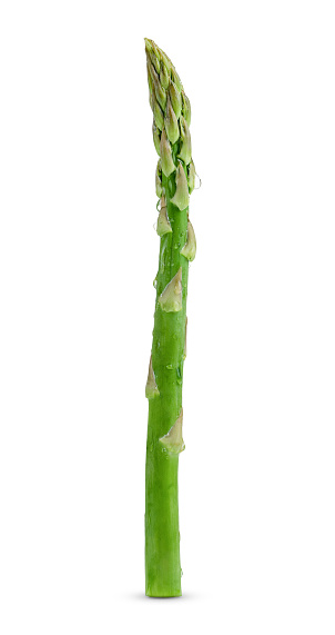 Single stem of green asparagus isolated with clipping path. High quality photo