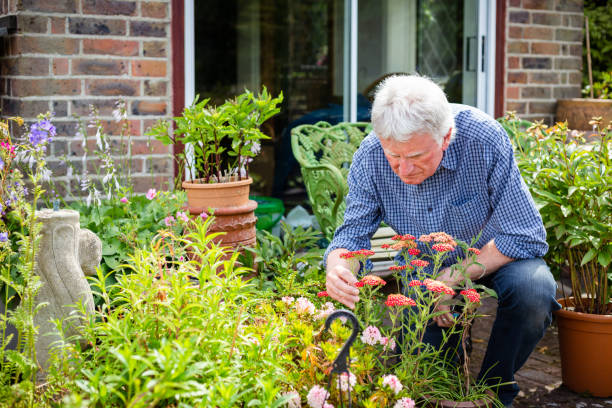 istock Senior man working in the garden 1404417969