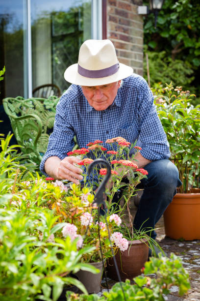 istock Senior man working in the garden 1404417975