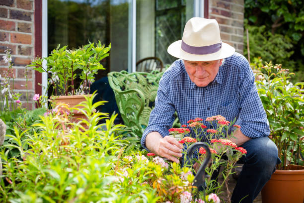 Senior man working in the garden