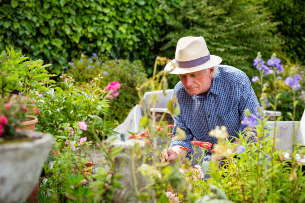 istock Senior man working in the garden 1404418013