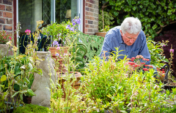 istock Senior man working in the garden 1404418024